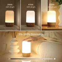 Long Distance Touch Lamps